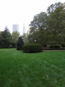 DSC05684