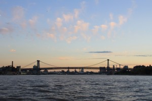 IMG_5479