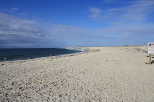 IMG_5719