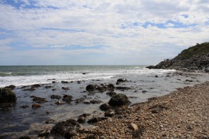 IMG_5881
